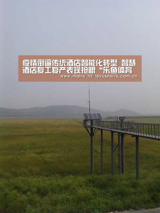 疫情倒逼传统酒店智能化转型 智慧酒店复工复产表现抢眼“乐鱼体育App下载”(图1) 乐鱼体育App下载