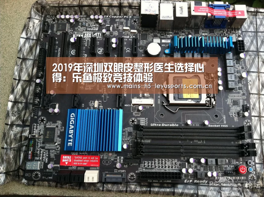 乐鱼体育App下载