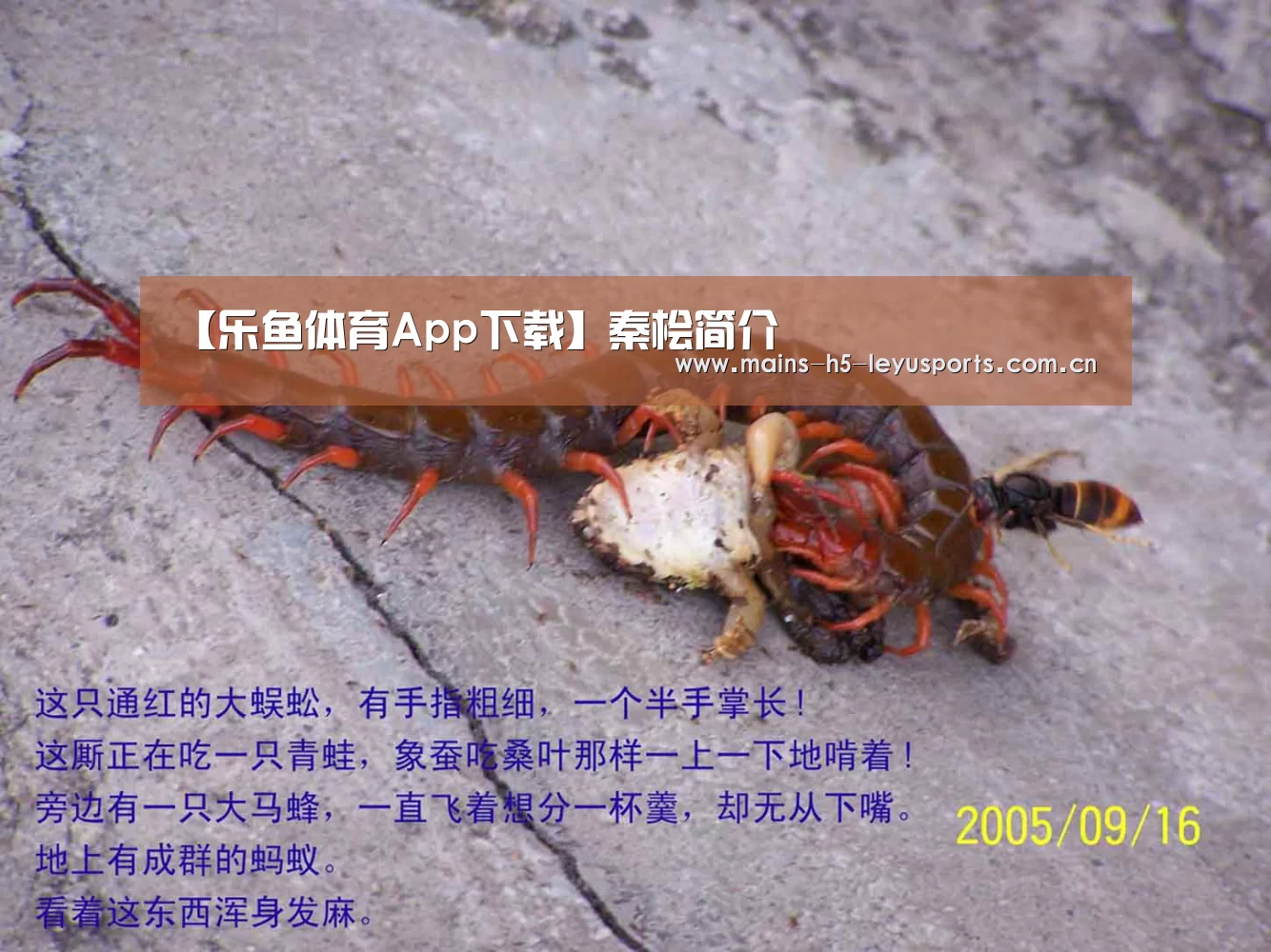 【乐鱼体育App下载】秦桧简介(图1) 乐鱼体育App下载