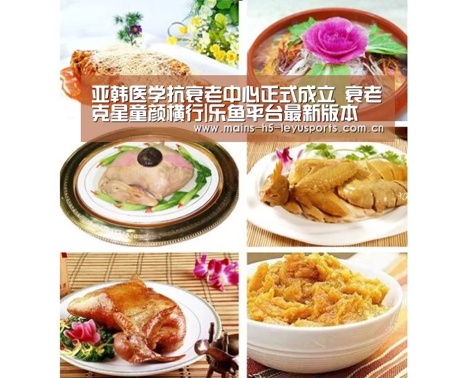 乐鱼极致竞技体验