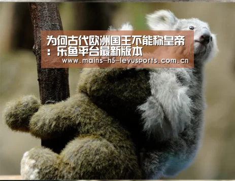 乐鱼平台最新版本
