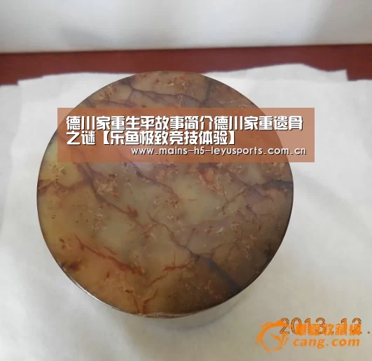 乐鱼极致竞技体验