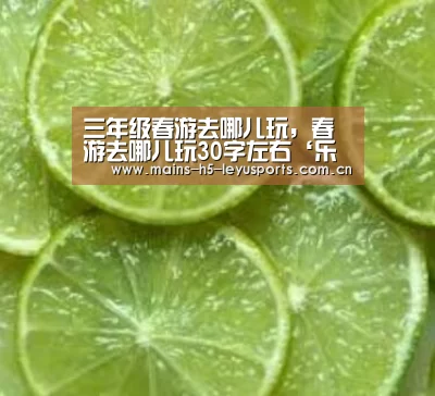 三年级春游去哪儿玩,春游去哪儿玩30字左右‘乐鱼平台最新版本’(图1) 乐鱼平台最新版本