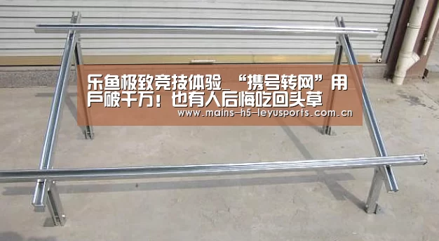 乐鱼极致竞技体验_“携号转网”用户破千万!也有人后悔吃回头草(图2) 乐鱼体育App下载