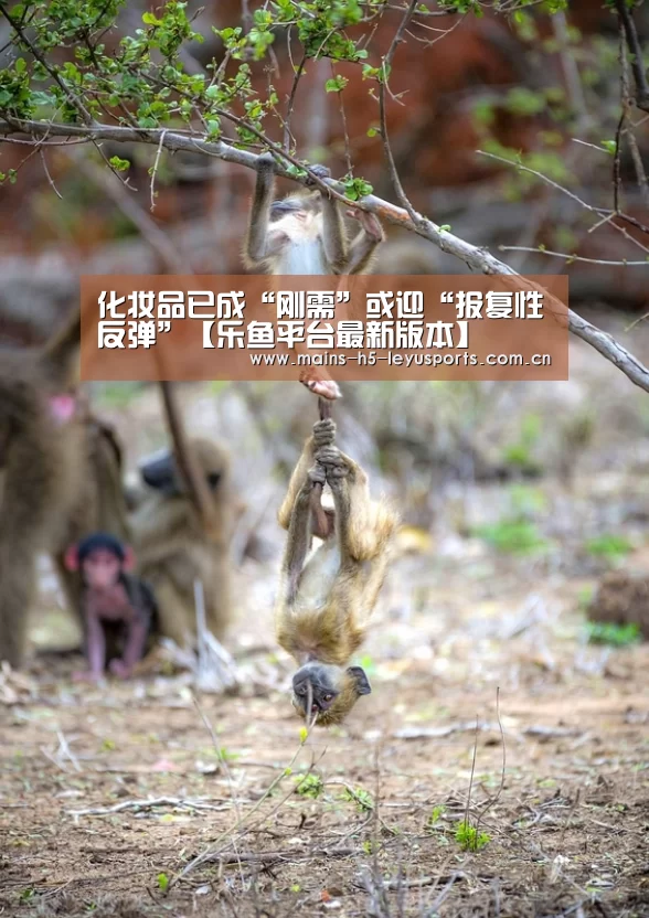 化妆品已成“刚需”或迎“报复性反弹”【乐鱼平台最新版本】(图1) 乐鱼体育App下载