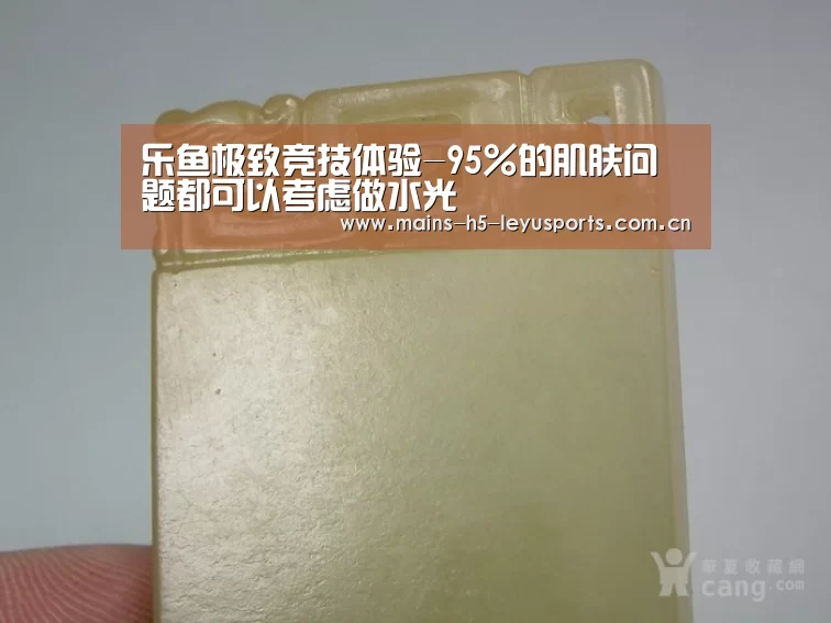 乐鱼极致竞技体验