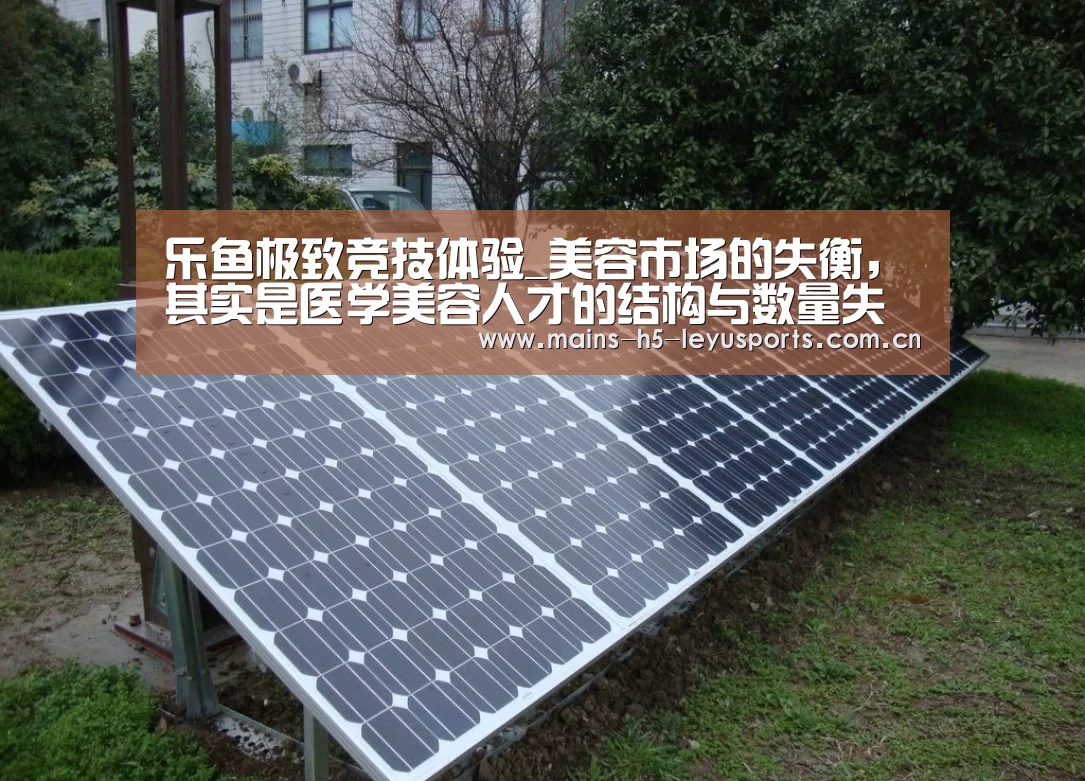 乐鱼官方网站地址